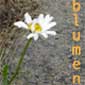 blumen