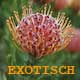 exotisch