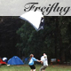 freiflug